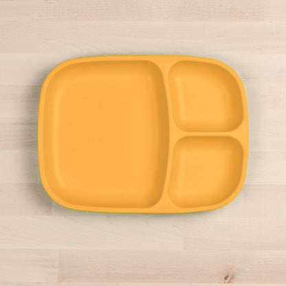 Large Divided Tray
