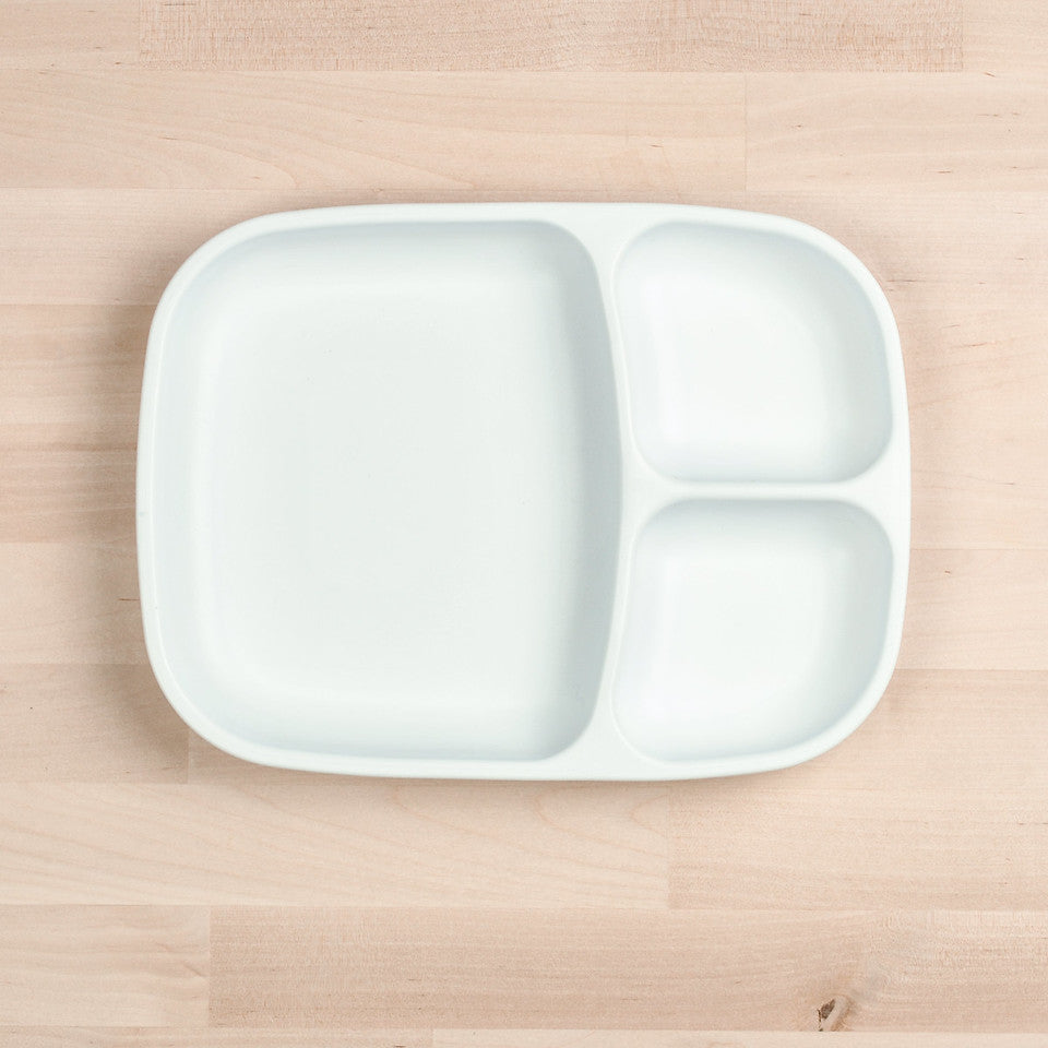 Large Divided Tray