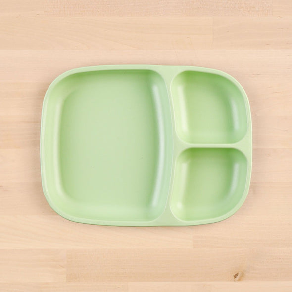 Large Divided Tray