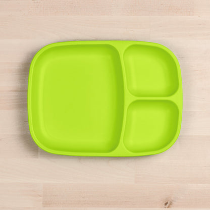 Large Divided Tray