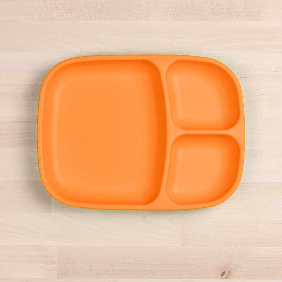 Large Divided Tray