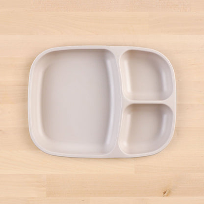 Large Divided Tray