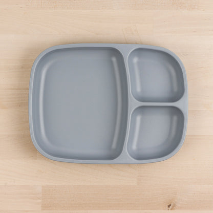 Large Divided Tray