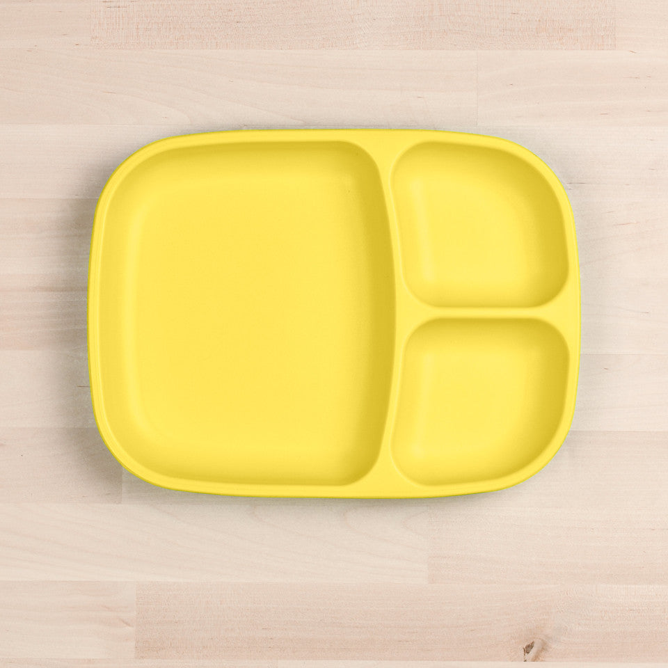 Large Divided Tray