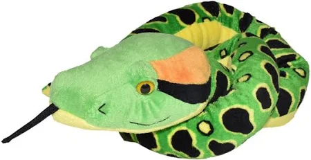Snake - Anaconda