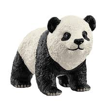 Giant Panda Cub 2025