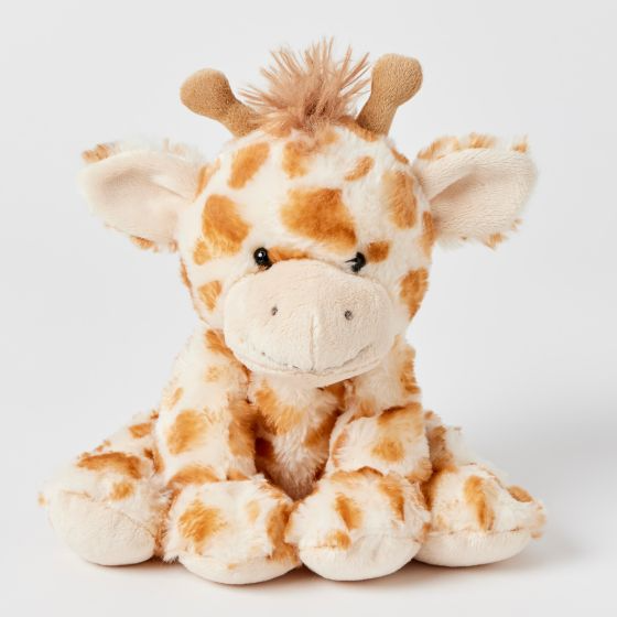Honey the Giraffe