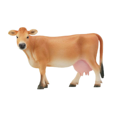 Jersery Cow