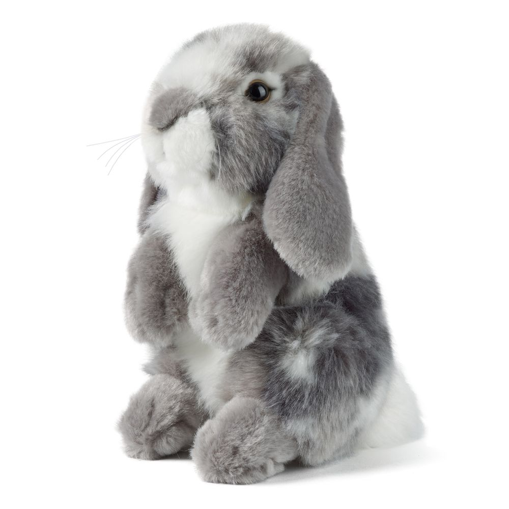 Grey Sitting Lop Eared Rabbit