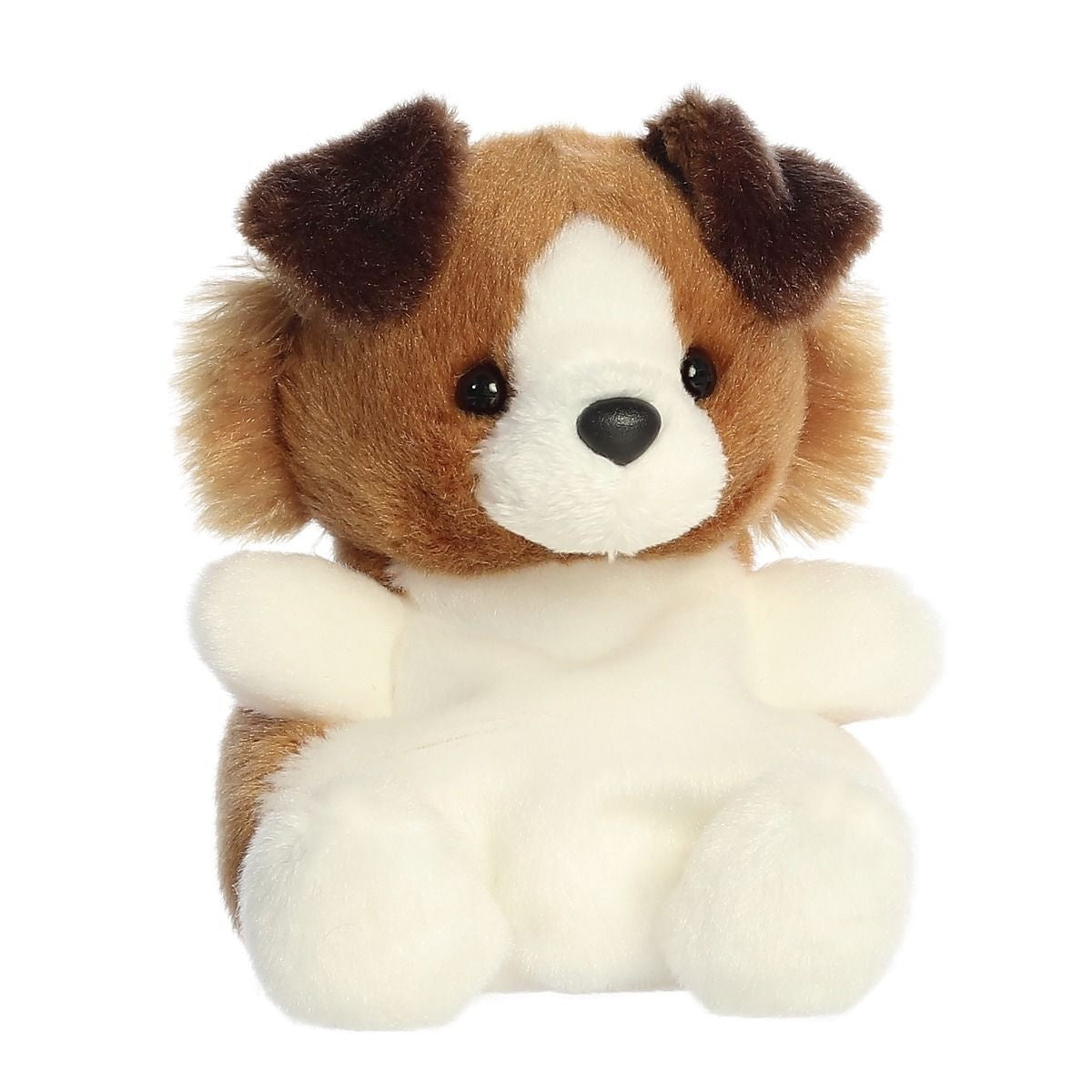 Fia Sheltie