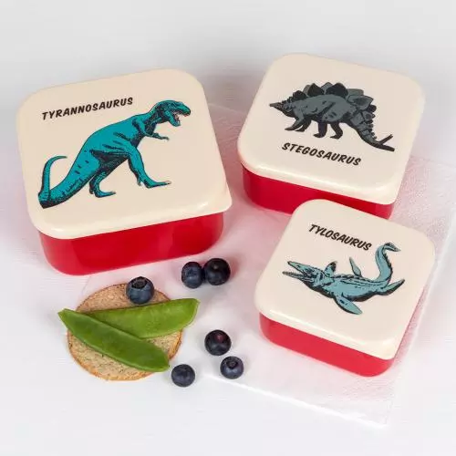 Snack Boxes Set of 3 - Prehistoric Land
