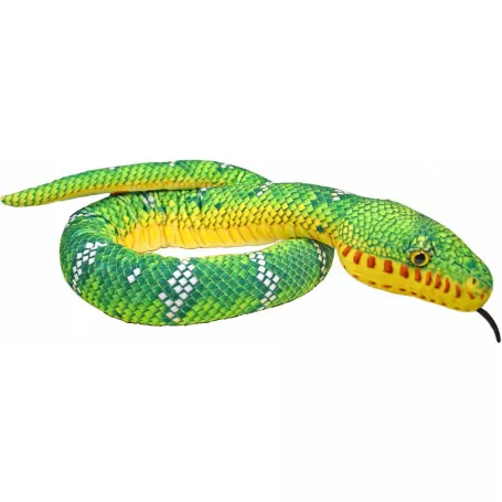 Snake - Emerald Tree Boa