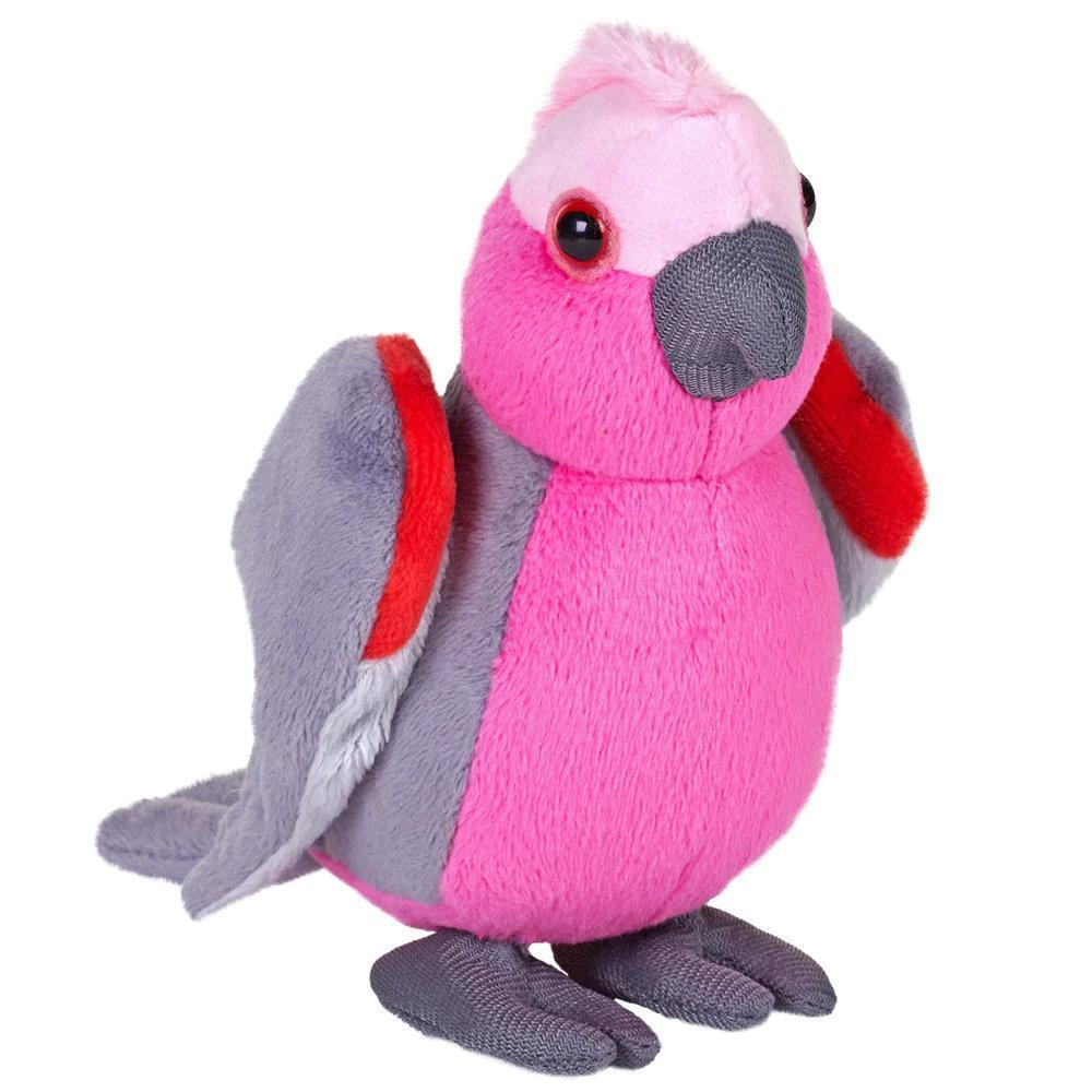 Pocket Kins - Galah