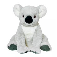Eco Koala
