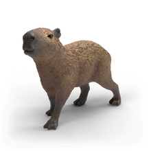 Capybara