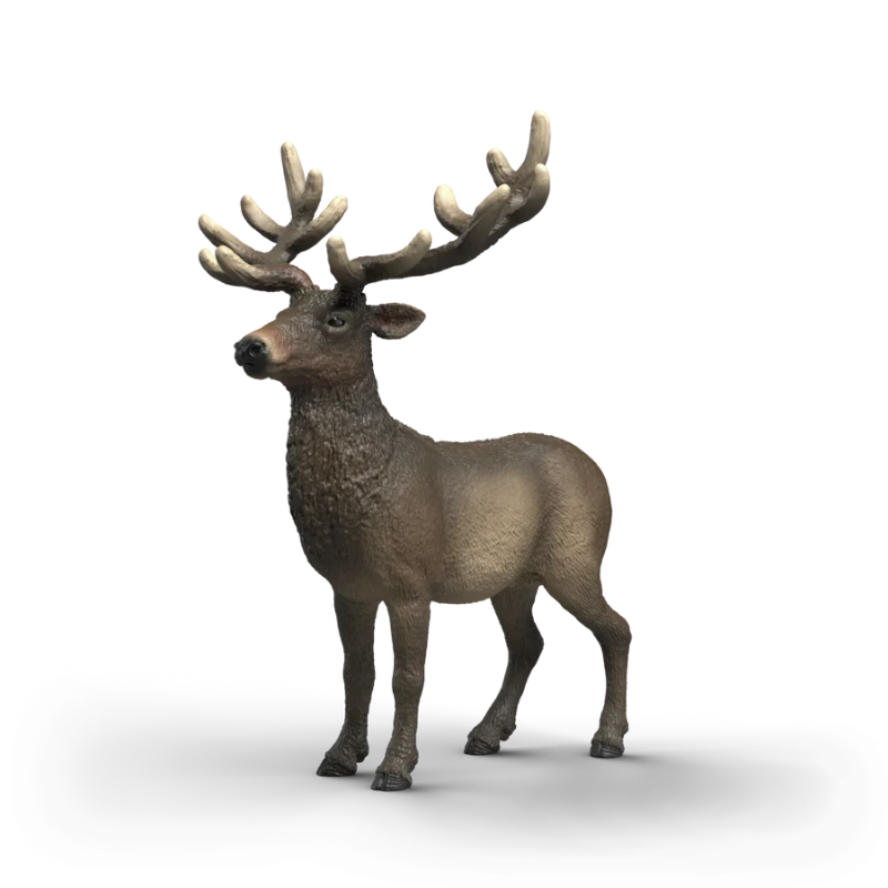 Elk