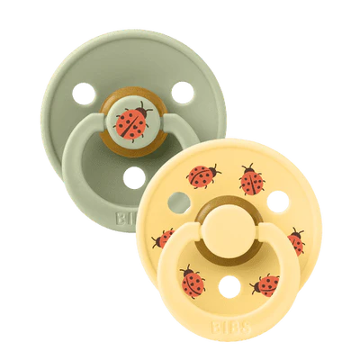 Bibs Pacifier- Studio Urban Garden Collection - Size 1 (Birth - 6 Months)