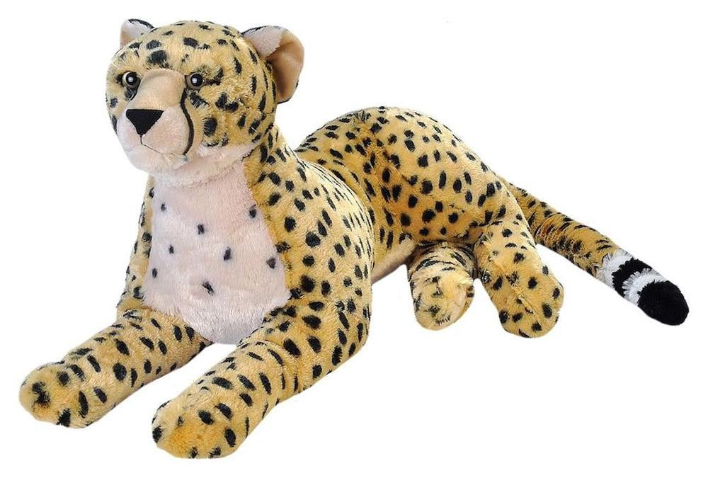 Jumbo Cheetah