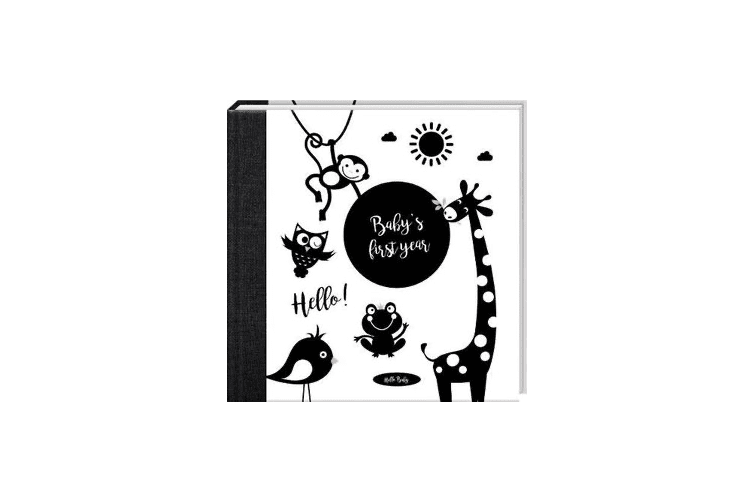Baby's First Year Album