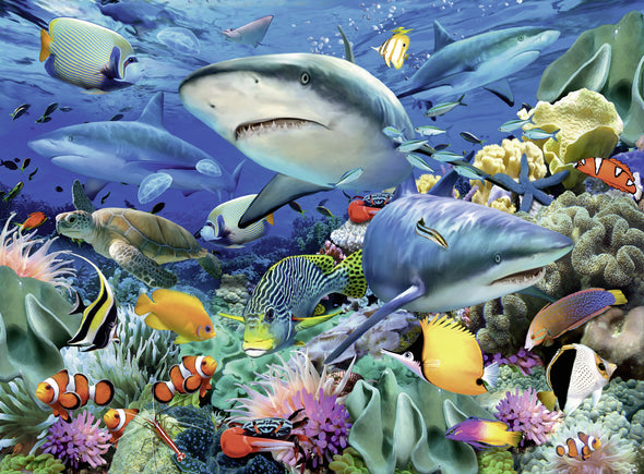 100 pc Puzzle - Shark Reef