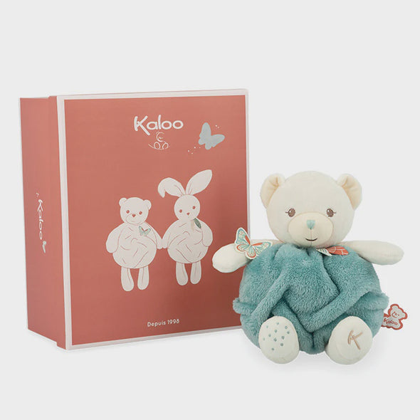 Plush Bear in Gift Box - Teal