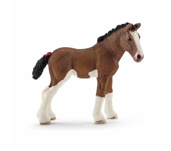 Clydesdale Foal