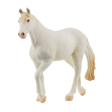 Camarillo Mare