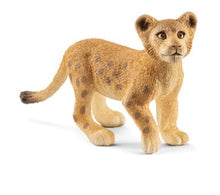 Lion Cub
