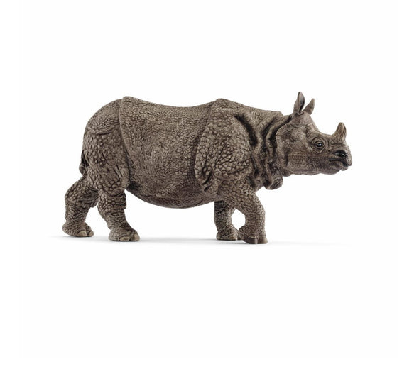 Indian Rhinocerus