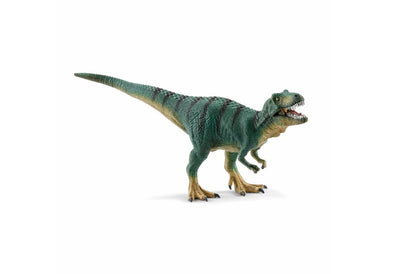 Juvenile Tyrannosaurus Rex