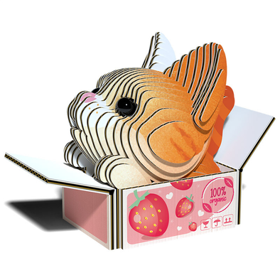 3D Cardboard Model Kit - Cat (Pumpkin)