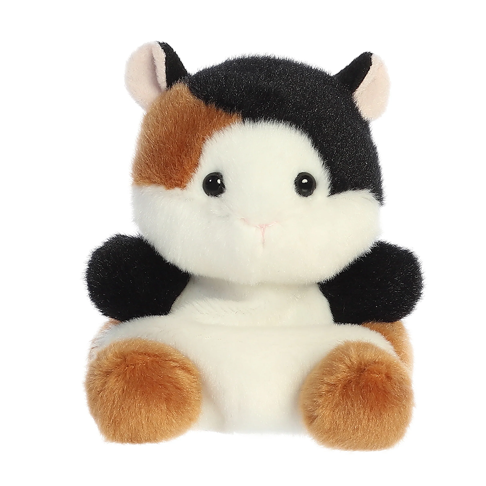 Nutmeg Guinea Pig