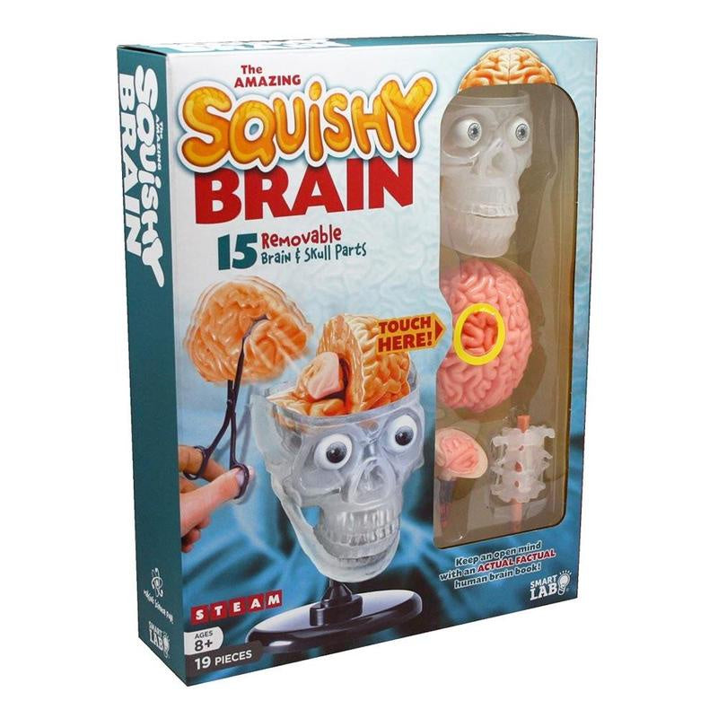 The Amazing Squishy Brain