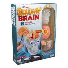 The Amazing Squishy Brain