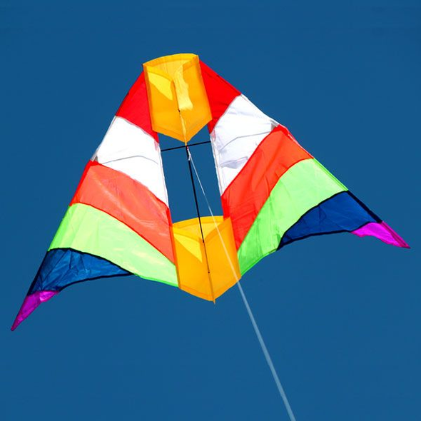 Rainbow Cell Kite