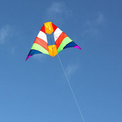 Rainbow Cell Kite