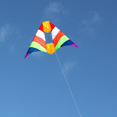 Rainbow Cell Kite