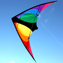 Stinger Dual Control Twister Kite