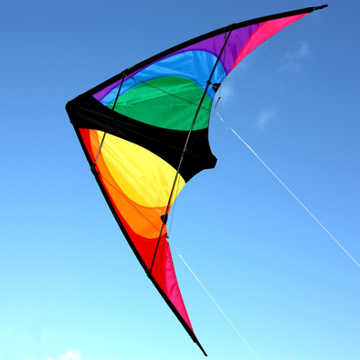 Stinger Dual Control Twister Kite