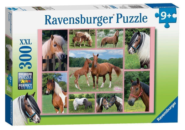 300 pc Puzzle - Horses