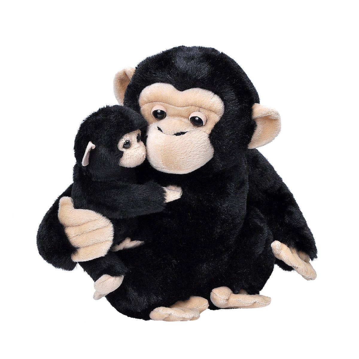 Mom and Baby Chimp