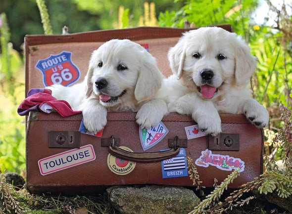 100 pc Puzzle - Travelling Pups