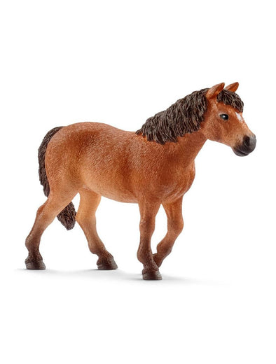 Dartmoor Pony Mare