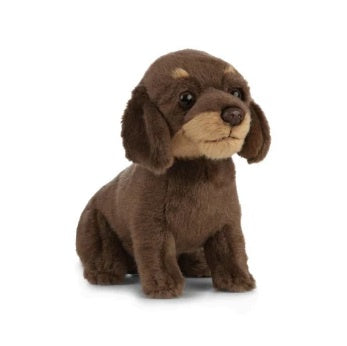 Dachshund 16cm