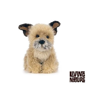 Border Terrier 20cm