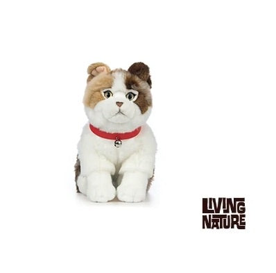 Scottish Fold Cat 25cm