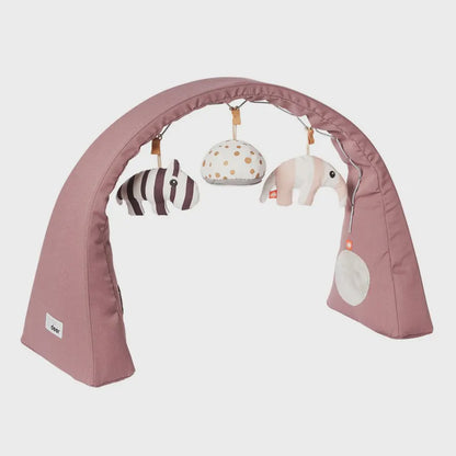 Activity Gym Free Standing