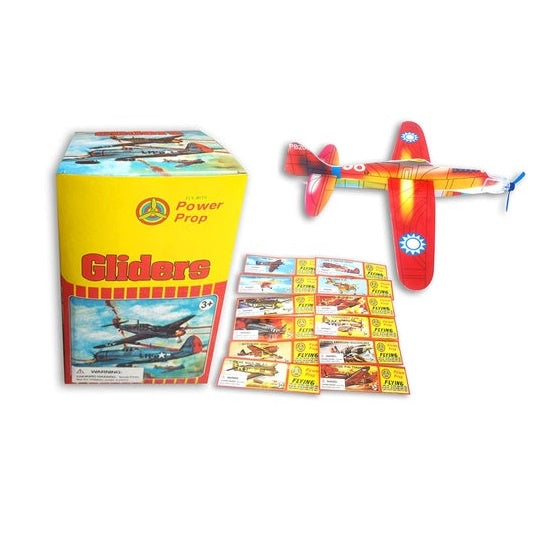 Glider with Propeller - Aircraft