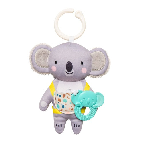 Kimmy the Koala