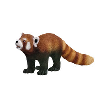Red Panda